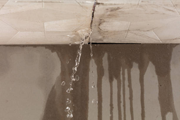 Professional Water Damage Repair technician working in New Holland, PA